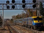 LI 505 shoves an OB train west.